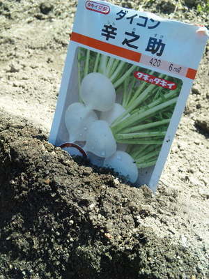 http://nomura-sansou.com/topics/wp-content/uploads/2011/08/tane1.jpg